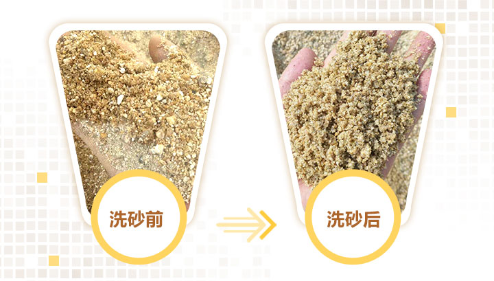 洗沙前后對比圖